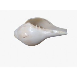 Shank- Made With Love from Shivam Arts Export 