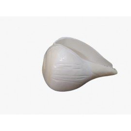 Shank - Made With Love from Shivam Arts Export 