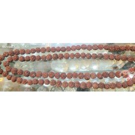 Rudraksha Mala 