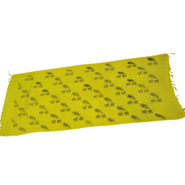 Banarasi Dupatta Radhe Radhe  