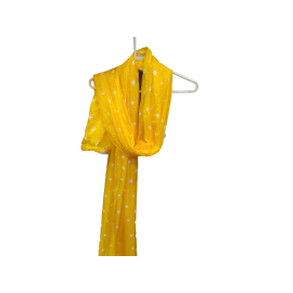 Banarasi Dupatta - Made With Love from Shivam Arts Export 