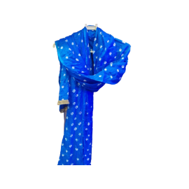 Banarasi Dupatta - Made With Love from Shivam Arts Export